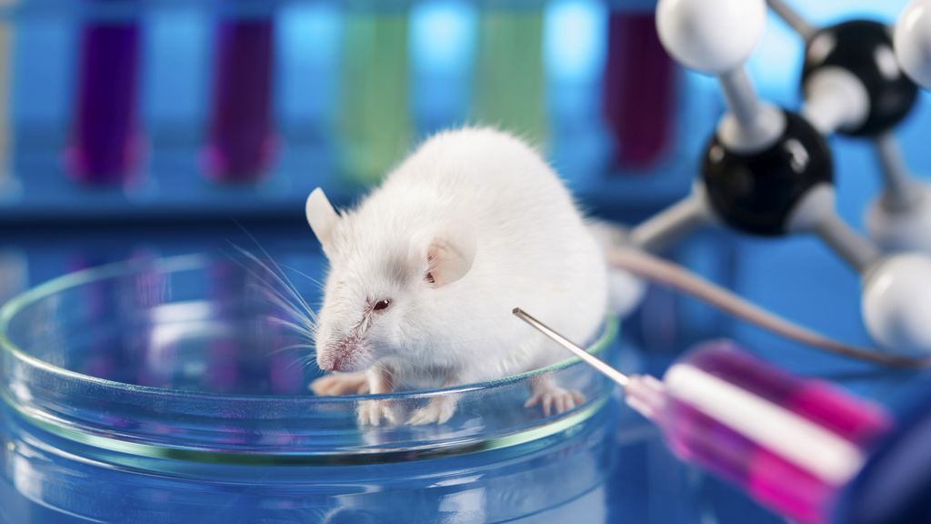 Competition Animal Drug Testing Laboratory Accreditation Program