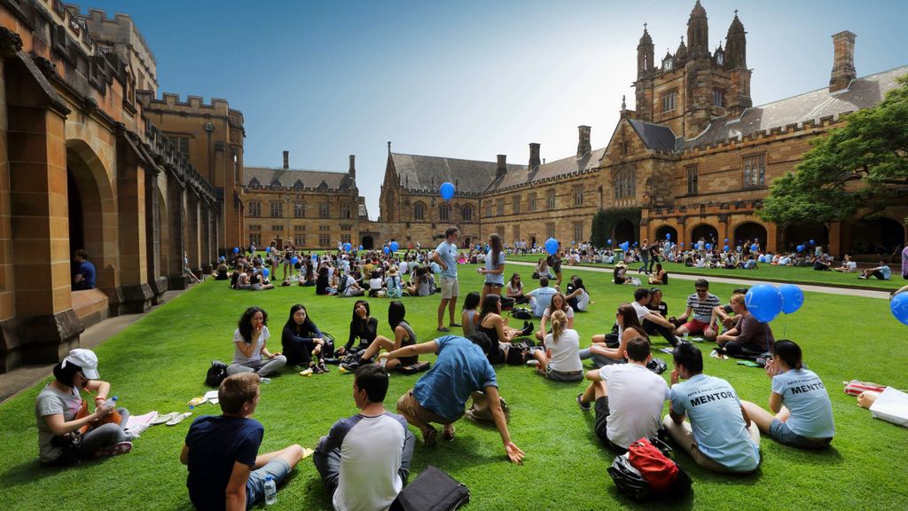 The Role of University Accreditation