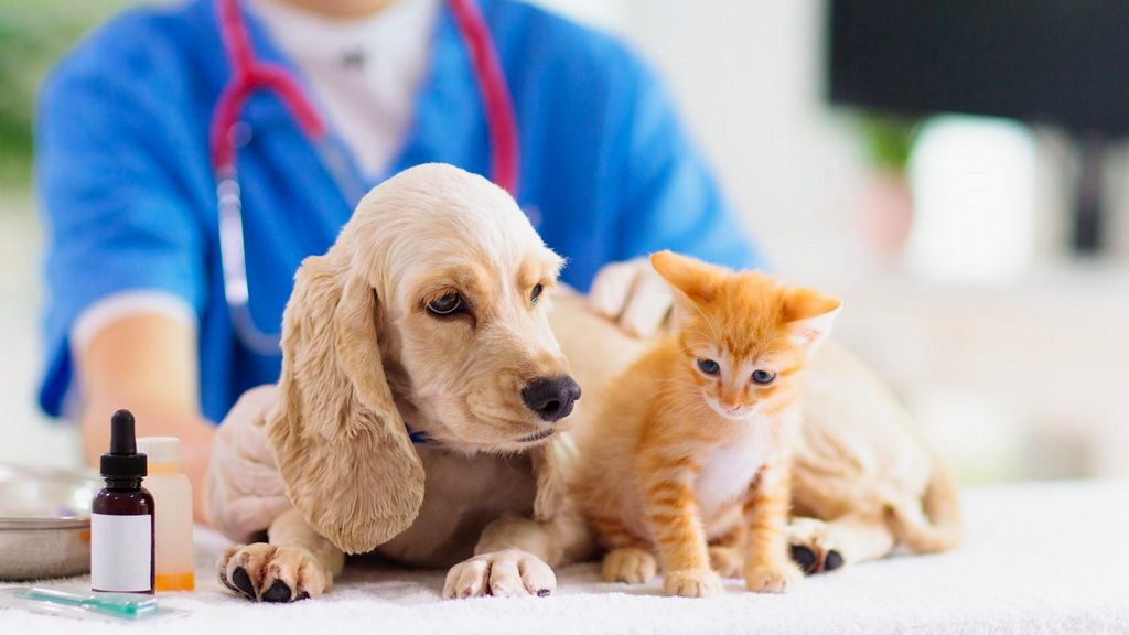 Veterinary Laboratory Accreditation Program